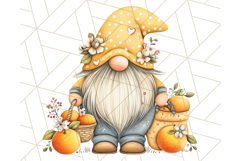 Summer Garden Gnomes Clipart PNG, Summer Country Gnomes Png Product Image 4