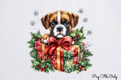 Christmas Boxers Clipart PNG Product Image 1