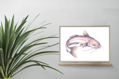Cute Catfish Marine Animal Ocean Fish PNG Summer Aquatic Product Image 2