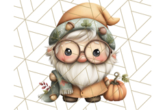 Fall Gnome Clipart PNG Cute Thanksgiving Gnomes Product Image 4