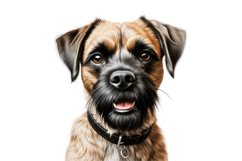 Brussels Griffon Dog Clipart | Watercolor Dog Clipart PNG Product Image 1