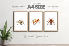 Animal Wall Art - 03 Variations Product Image 1