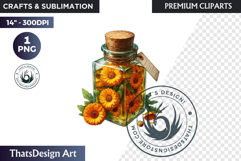 Medicinal Herbs clipart PNG, Apothecary Botanical Graphic Product Image 1