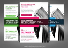 Modern Business Flyer Bundle Product Image 2