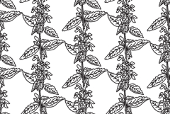 Line art botanical floral seamless pattern with wildflowers Product Image 1