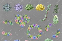 Succulent Plants - Clipart Product Image 5