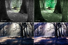 Dark Forest Lr Presets Product Image 12