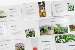 Vegetables Keynote Template Product Image 2