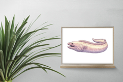 Cute Moray Eel Marine Animal Ocean Fish PNG Summer Aquatic Product Image 2