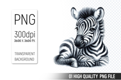 Cute Zebra Clipart PNG, Printable Animals, Wildlife Design Product Image 1