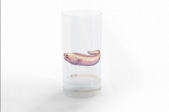 Cute Moray Eel Marine Animal Ocean Fish PNG Summer Aquatic Product Image 3