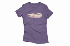 Cute Moray Eel Marine Animal Ocean Fish PNG Summer Aquatic Product Image 4