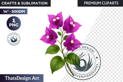 Flower Clipart PNG, Botanical Illustration Floral graphic Product Image 1