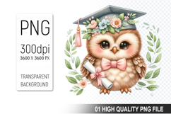 Owl Clipart PNG, Watercolor Graduation Animals Clipart Product Image 1
