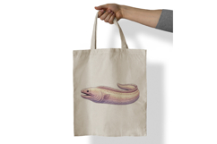 Cute Moray Eel Marine Animal Ocean Fish PNG Summer Aquatic Product Image 7
