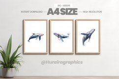 Fish Wall Art - 03 Variations Product Image 1