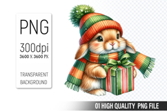 Christmas Bunny Clipart PNG, Watercolor Christmas Animals Product Image 1