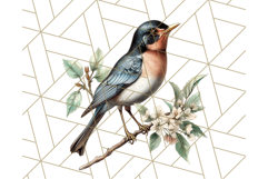 Vintage Song Bird Clipart PNG, Botanical Bird Art Clip Art Product Image 5