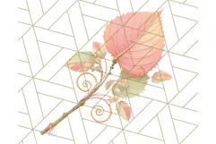Fall Foliage Clipart PNG, Pink and Green Leaves Product Image 5