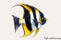 Underwater Animals Clipart PNG Product Image 1