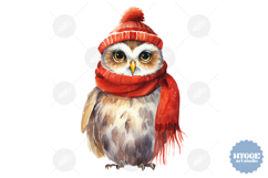 Christmas Owl Sublimation PNG Winter Cute Owls Product Image 1