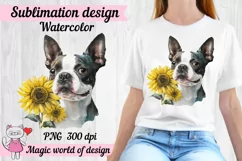Boston Terrier Dog with Sunflower png, Sublimation design Product Image 1