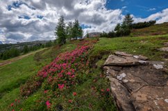 Mountain landscape above the Falzare Product Image 1