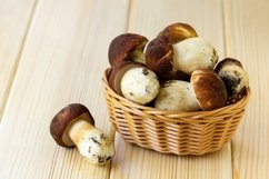 Porcini mushrooms in basket Product Image 1