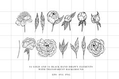 Peony svg, Hand drawn peony flowers PNG, Flowers SVG Product Image 2