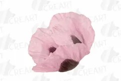 Watercolor bridal flowers on summer berry colors clip art Product Image 8
