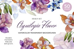 Aquilegia flowers velvet season watercolor png PNG Product Image 1