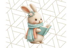 Coral and Aqua Christmas Clipart PNG, Pastel Holiday Art Product Image 2