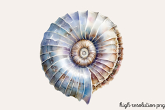 Underwater Animals Clipart PNG Product Image 1