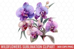 Wildflowers Sublimation Clipart Product Image 1
