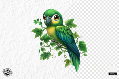 Tropical Birds Clipart - Summer Birds PNG Product Image 1