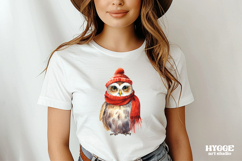 Christmas Owl Sublimation PNG Winter Cute Owls Product Image 2