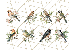 Vintage Song Bird Clipart PNG, Botanical Bird Art Clip Art Product Image 2
