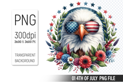 4th of July Eagle Clipart, Animal illustration for crafts Product Image 1