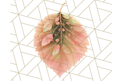 Fall Foliage Clipart PNG, Pink and Green Leaves Product Image 2