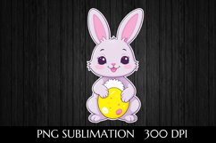 Cartoon Easter Bunny Product Image 1