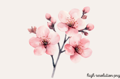 Watercolor Spring Flowers Clipart PNG Product Image 1