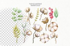 Watercolor Cotton Clipart - PNG Files Product Image 2