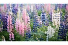 wild pastel flowers Product Image 1