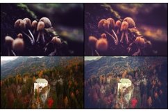 30 Fairy Tale Lightroom Presets Product Image 4