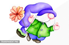 St.patrick&#039;s day Gnome - St.patrick&#039;s day Gnome Sublimation Product Image 1