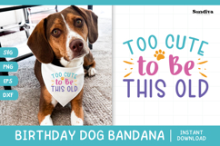 Cute Birthday Dog Bandana Quote SVG | Too Cute Product Image 1