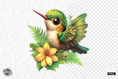 Tropical Birds Clipart - Summer Birds PNG Product Image 1