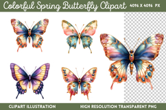 Colorful Spring Butterfly Clipart Bundle PNG Product Image 15