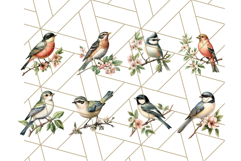 Vintage Song Bird Clipart PNG, Botanical Bird Art Clip Art Product Image 3