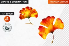 Autumn Leaves clipart, Ginkgo leaf clipart, Autumn sublimati Product Image 1